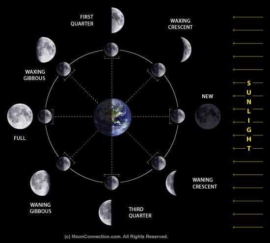 moon phases worksheet. Moon+phases+diagram